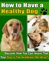 healthy dog cover