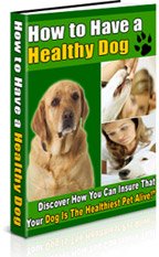 how to have a healthy dog