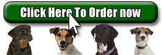 Buy The Dog Owners Guide